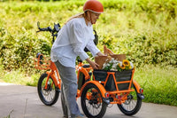 6 types of adult tricycles