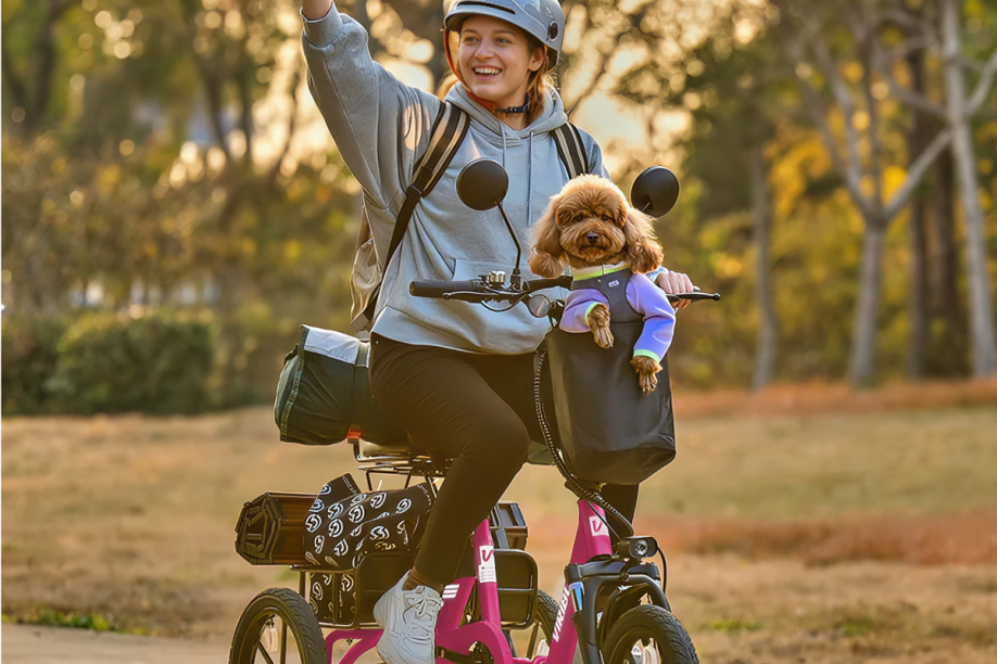 best pink adult tricycles 2025
