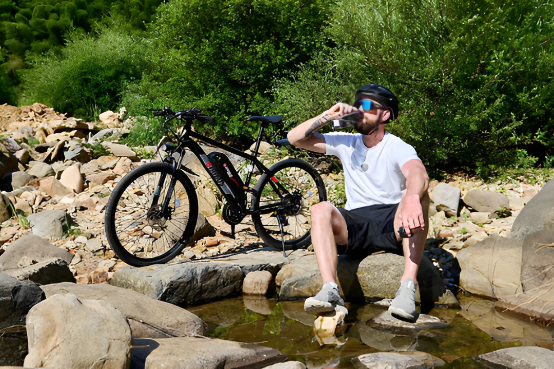 THE BEST BUDGET MOUNTAIN BIKE IN 2024? REVIEWING THE PANTHER FROM VIRIBUS