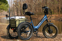 Riding an Adult Tricycle For the First Time (6 Rules)