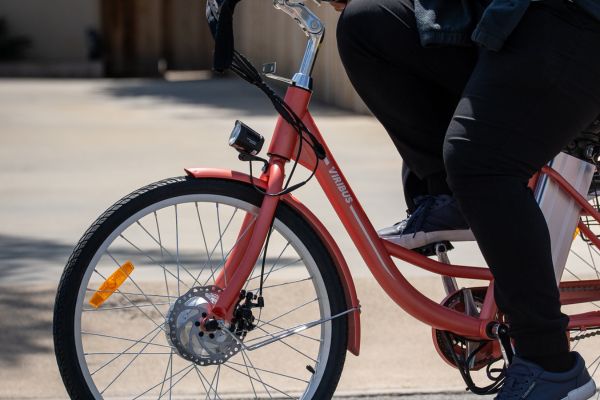 What Muscles Does Cycling Work? Muscle Groups Explained