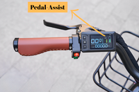 what is a pedal assist bike?