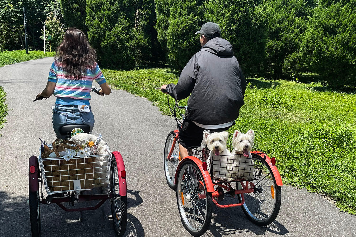 What is the Best 3 Wheel Electric Bike for Adults?