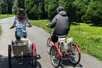 What is the Best 3 Wheel Electric Bike for Adults?