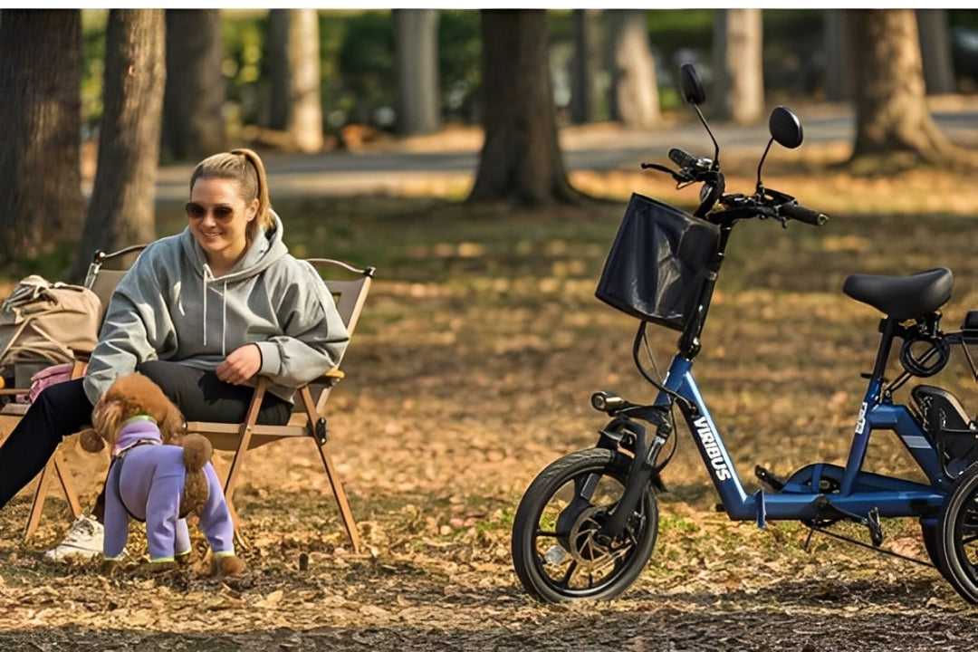walking your dog with an adult tricycle