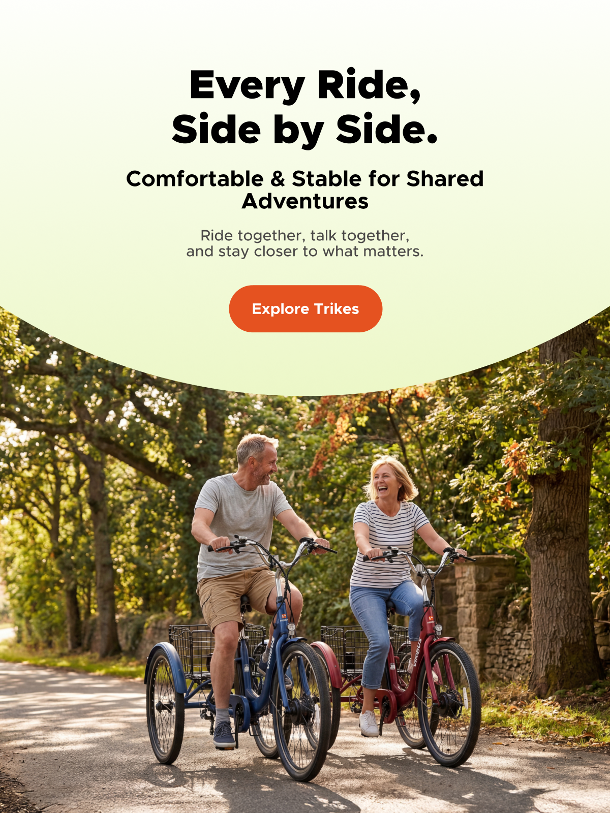 Viribus - Adult Tricycles & Electric Tricycles