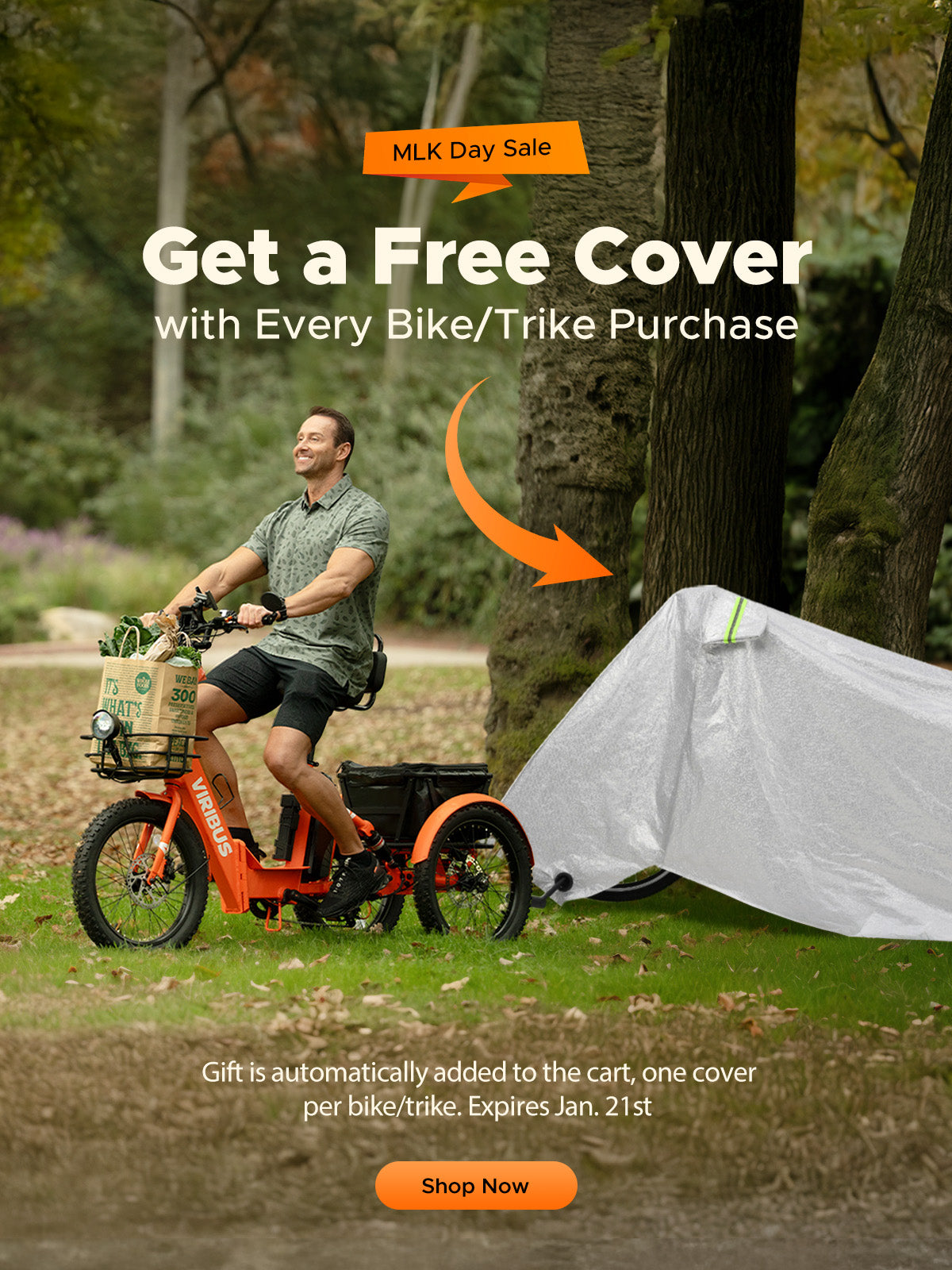 Folding Fat Tire Electric Tricycle