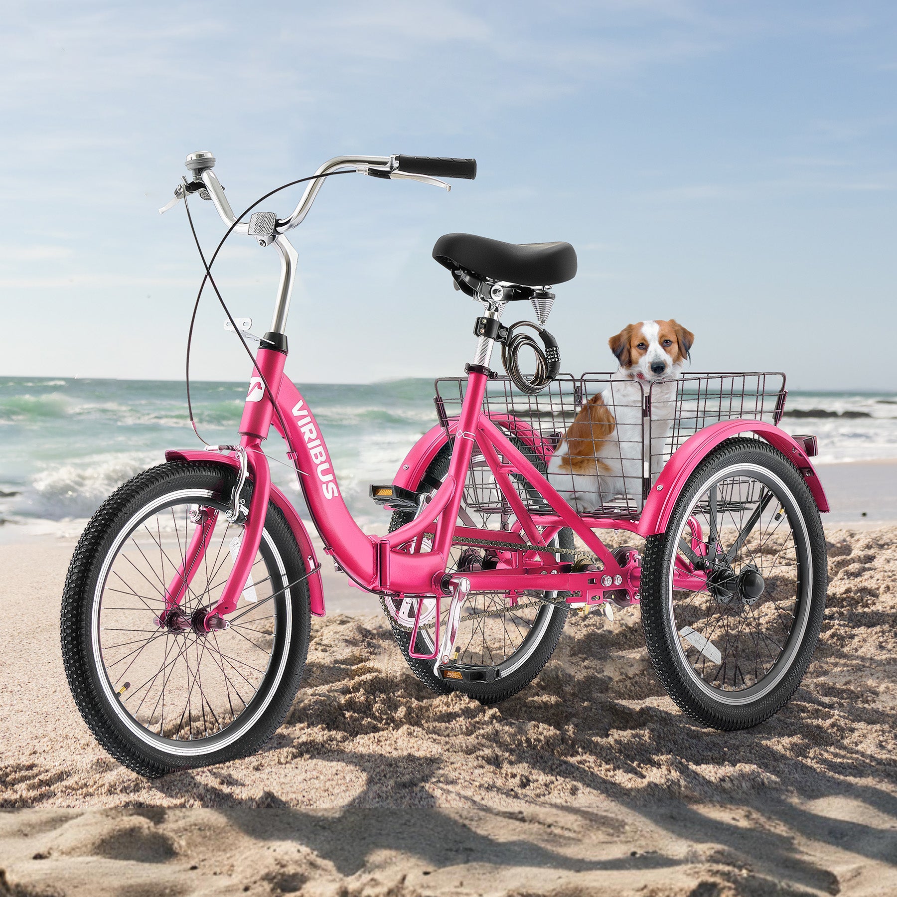 Viribus 20 inch Folding Adult Tricycle