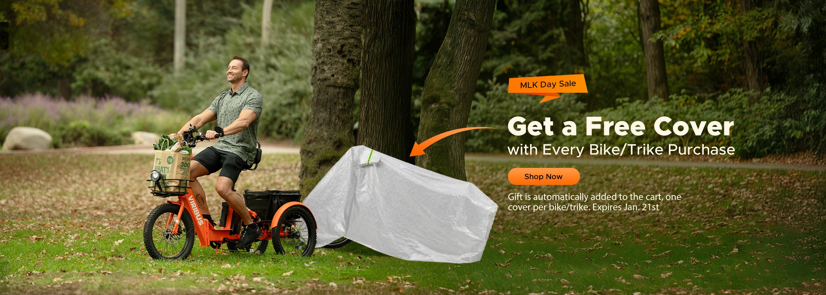 Folding Fat Tire Electric Tricycle