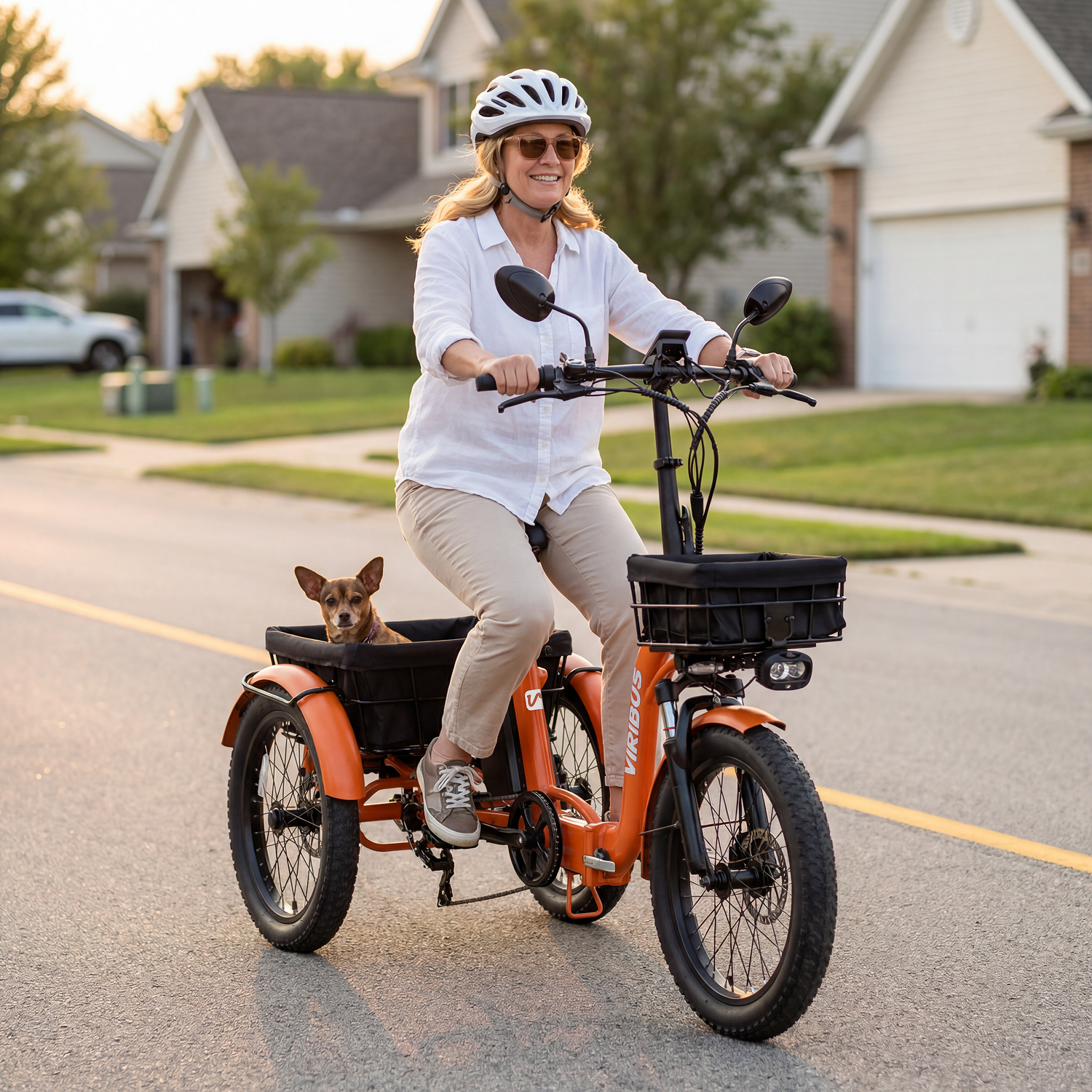 Viribus ST1 Folding Electric Tricycle