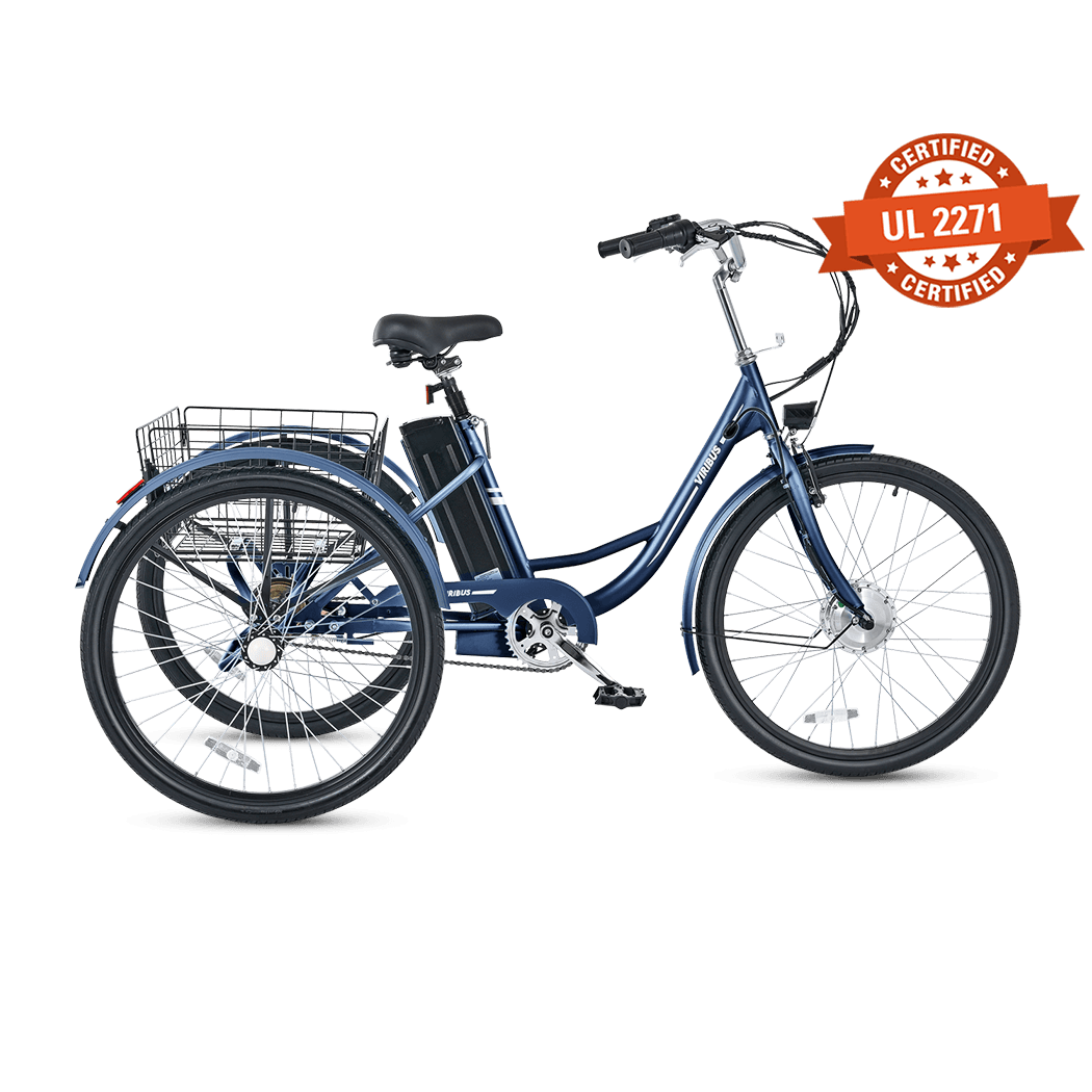 Viribus TG1 & TG1 Plus Spare Battery