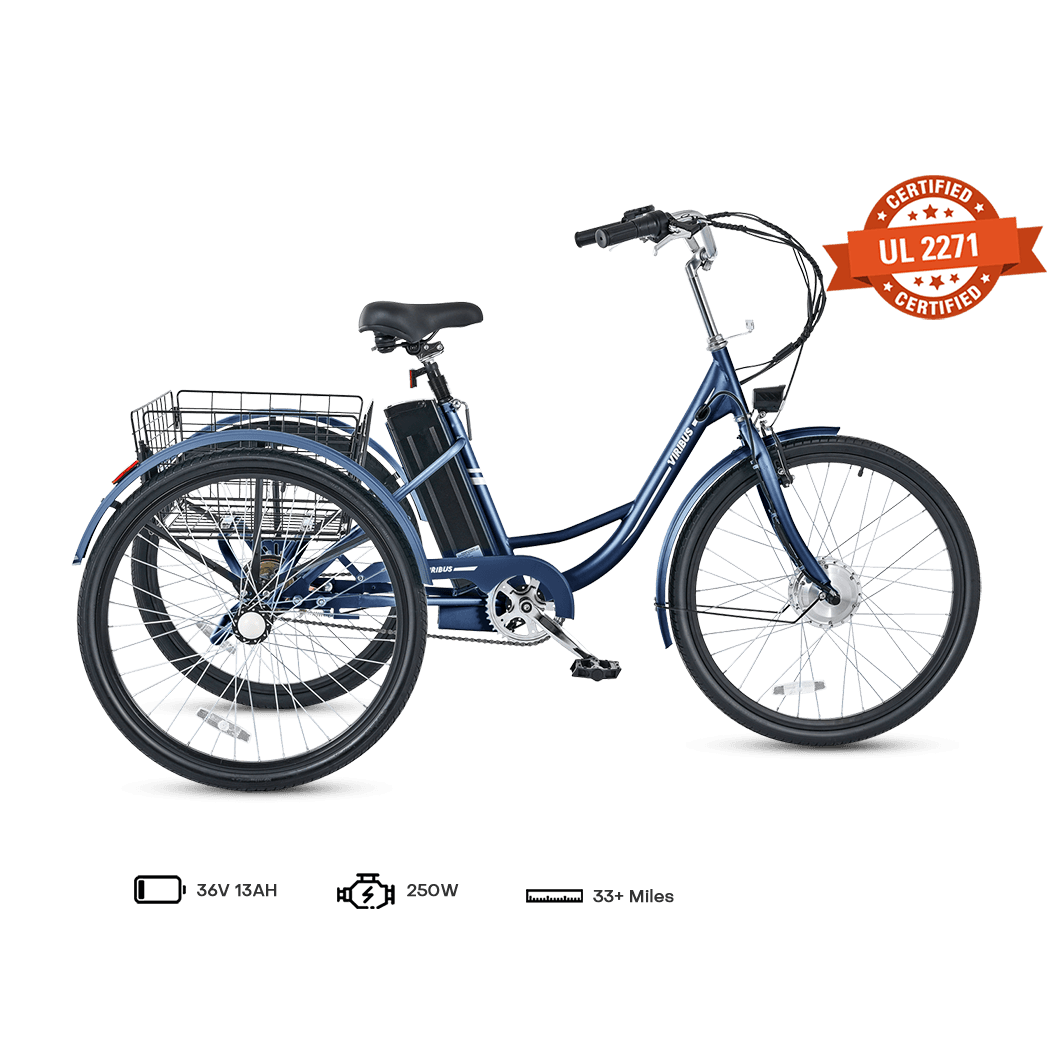 Viribus TG1 Electric Tricycle