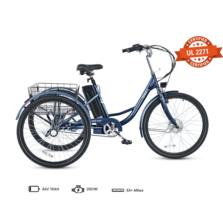 Viribus TG1 Electric Tricycle