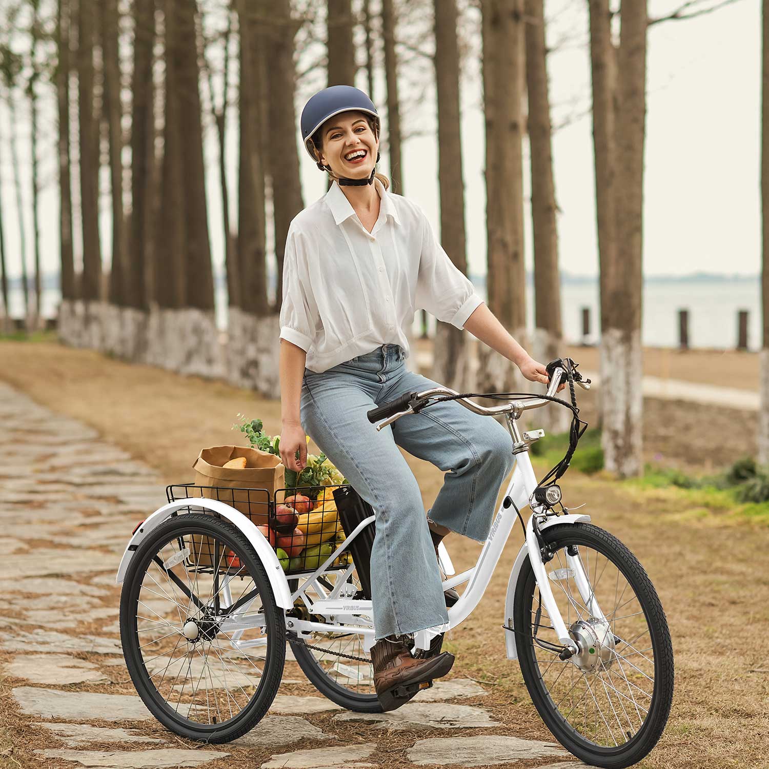 Viribus TG1 Electric Tricycle | Safe, Stable & Comfortable Electric Tricycle for Adults