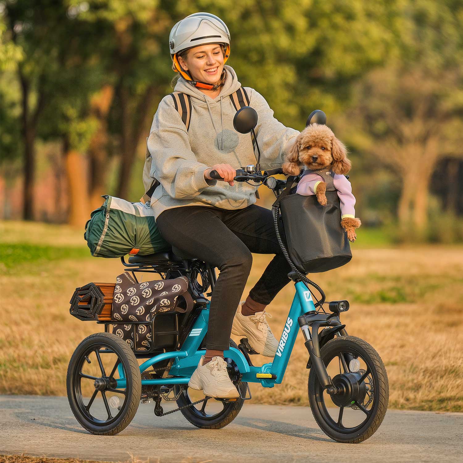 Viribus 16 inch Folding Electric Tricycle