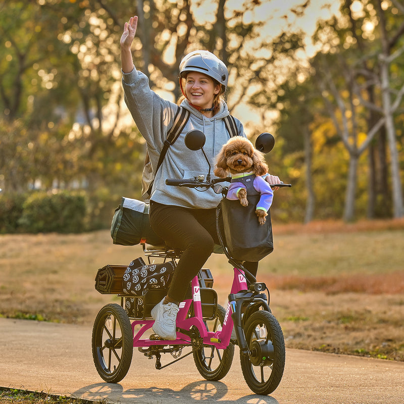 Viribus 16-inch Folding Electric Tricycle