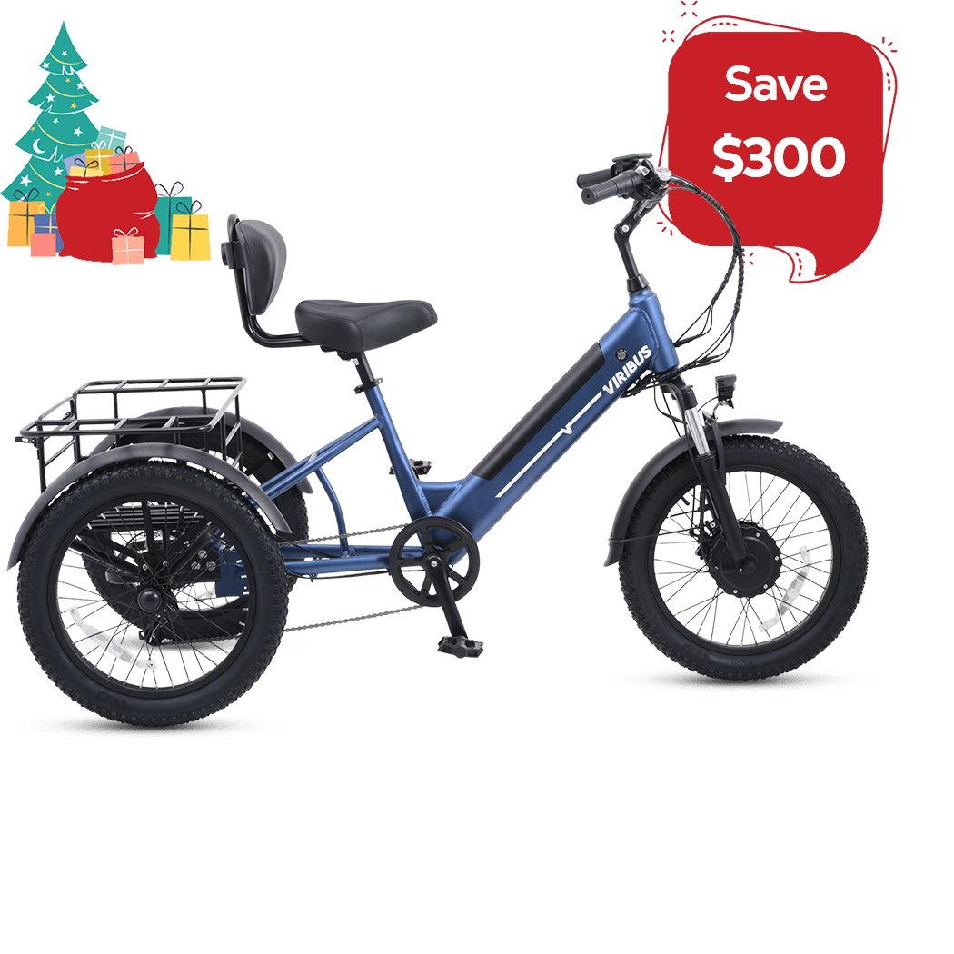 Top Viribus Electric Tricycle for Adults Sale Up to 60