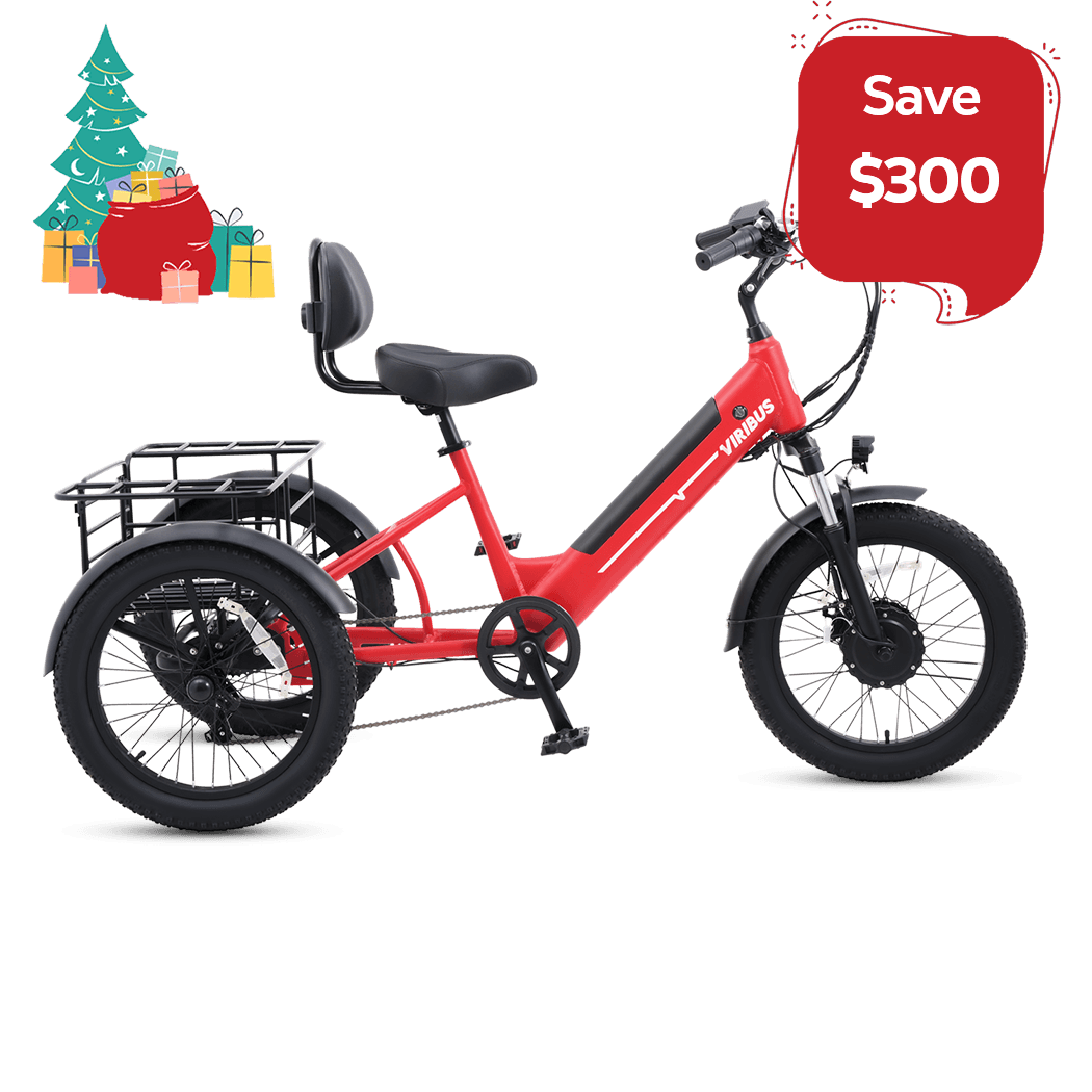 Viribus SC5 Fat Tire Electric Tricycle