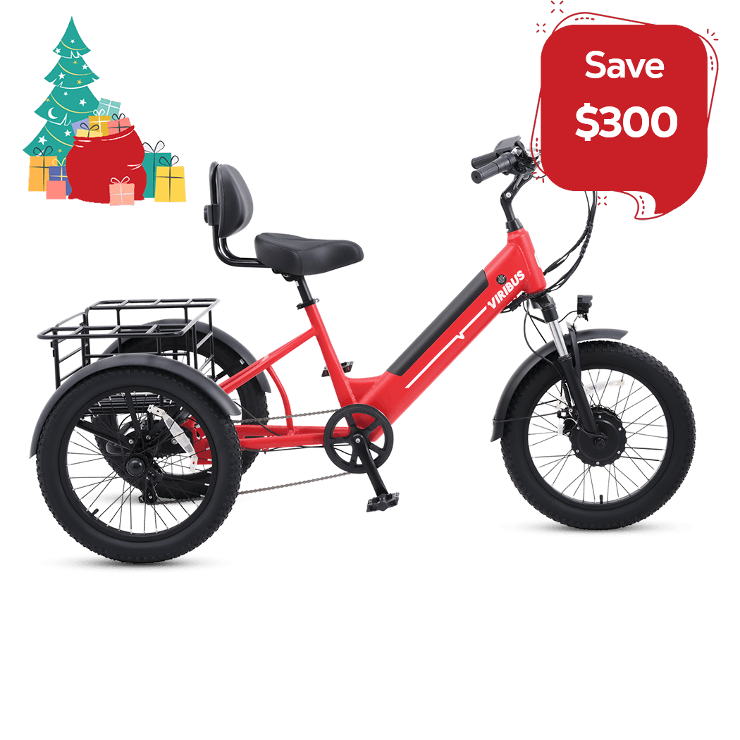 Viribus SC5 Fat Tire Electric Tricycle for Adults 3wheel electric bike