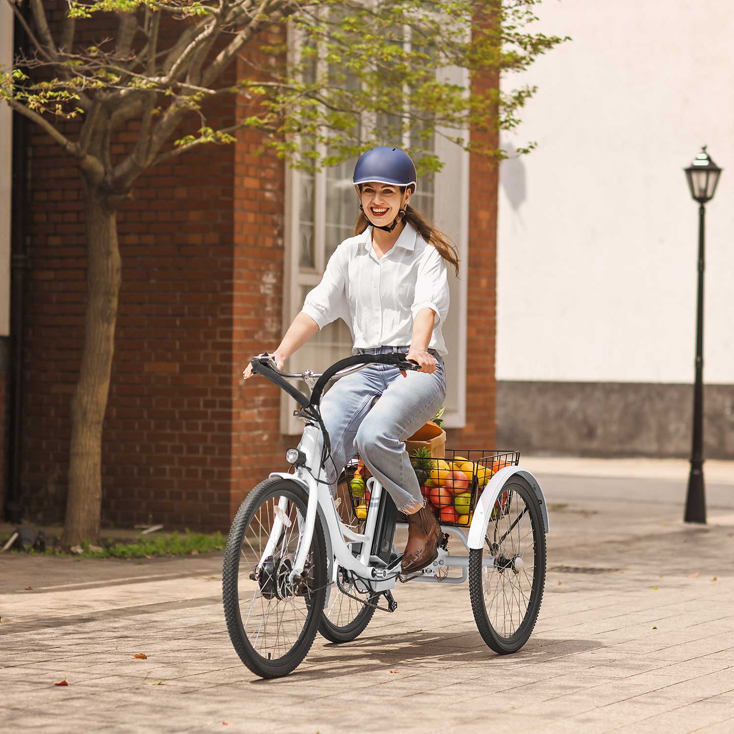 Viribus TG1 Electric Tricycle | Safe, Stable & Comfortable Electric Tricycle for Adults