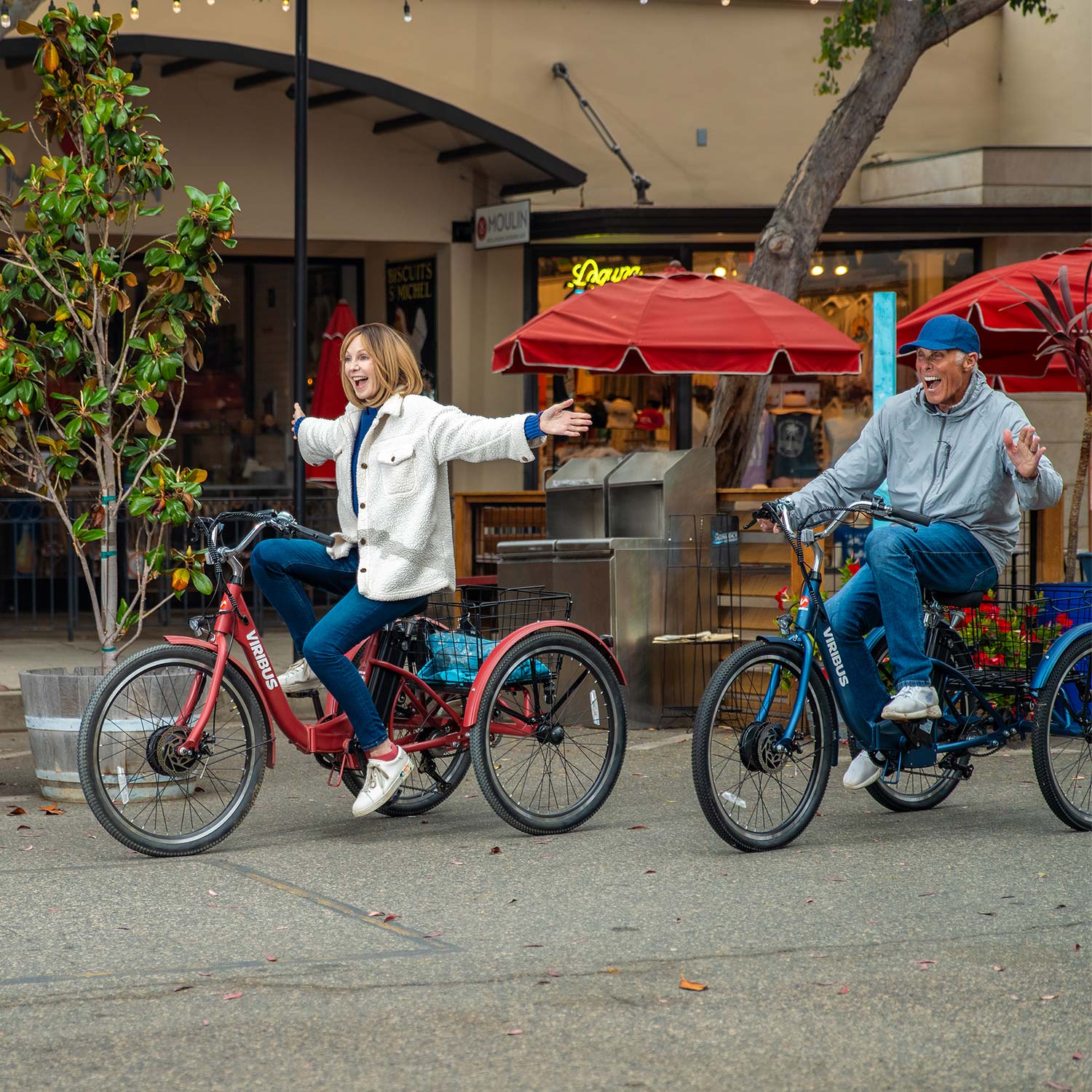 TriGo Folding Electric Tricycle 3 Wheel Electric Bike