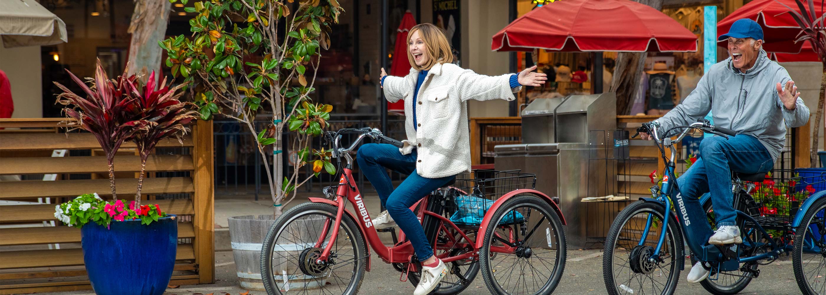 TriGo Folding Electric Tricycle 3 Wheel Electric Bike
