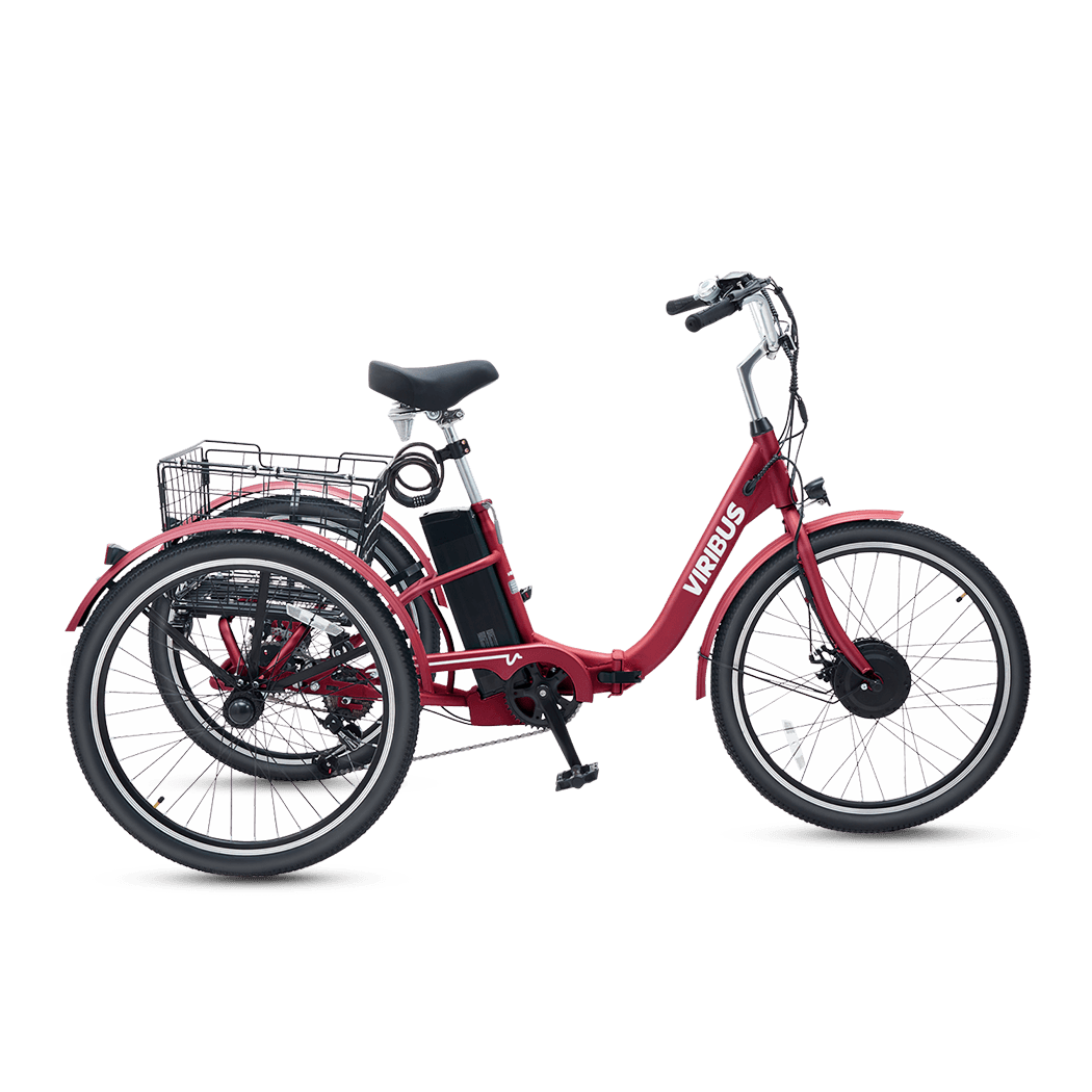 Best 3 wheel electric bike shop
