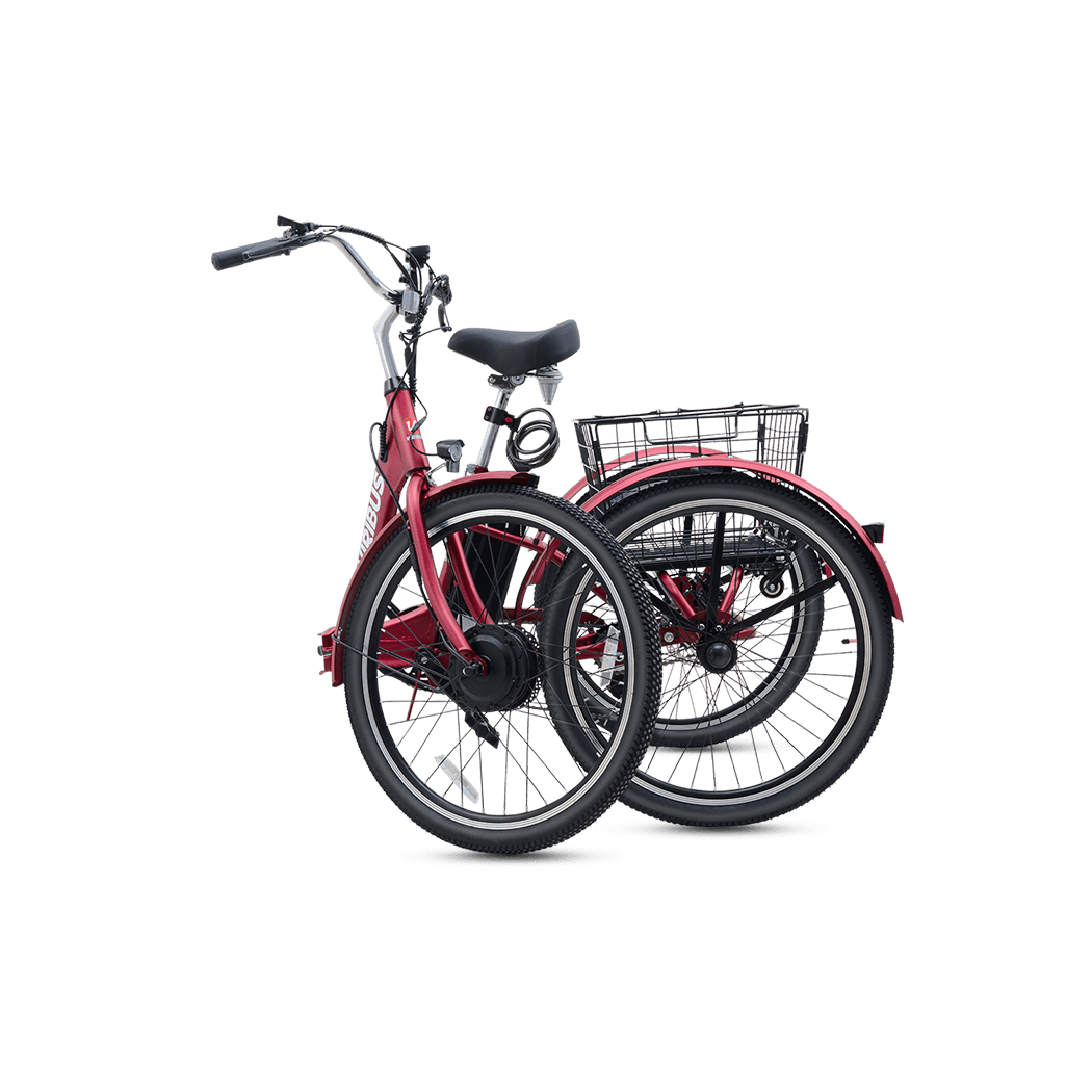 Viribus TG1 Trike Folding Electric Tricycle 3 Wheel Electric Bike
