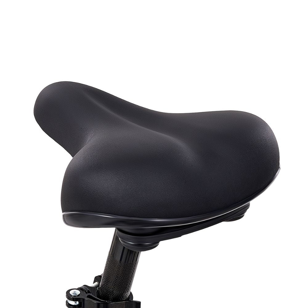 Viribus adult tricycles for women seat