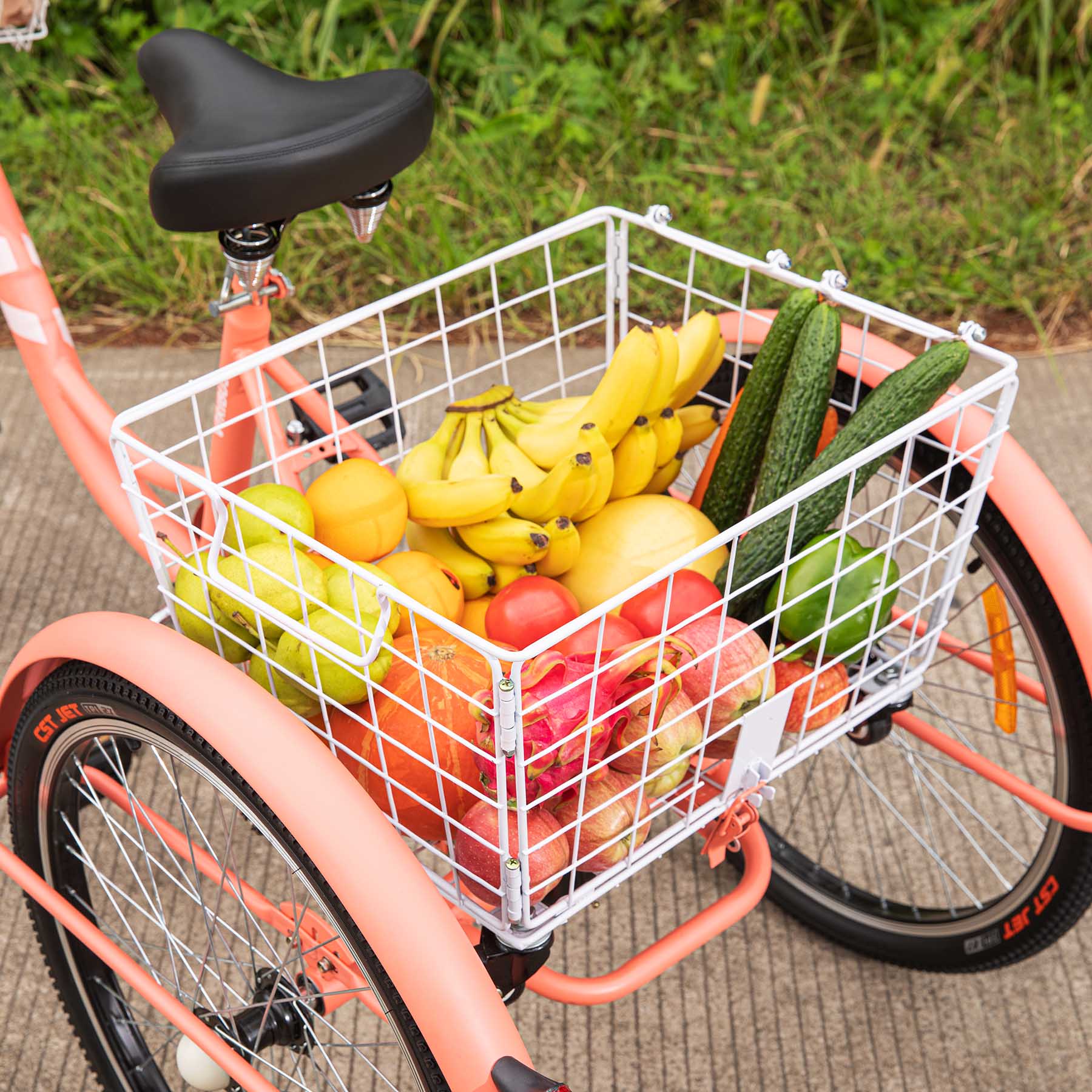 Viribus Adult 3-wheel bike with removable Basket