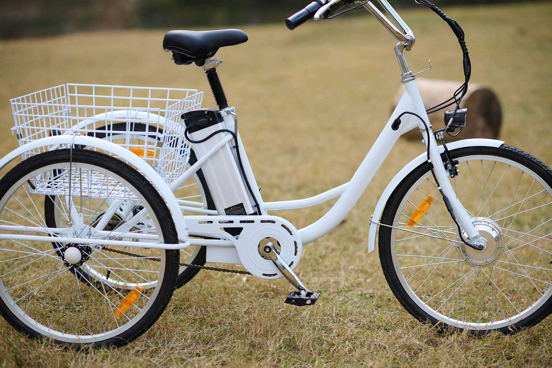 Viribus Trio Plus Electric Tricycle battery for Sale