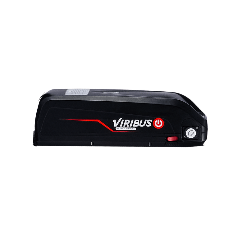 Viribus 48V 13Ah Battery for Panther