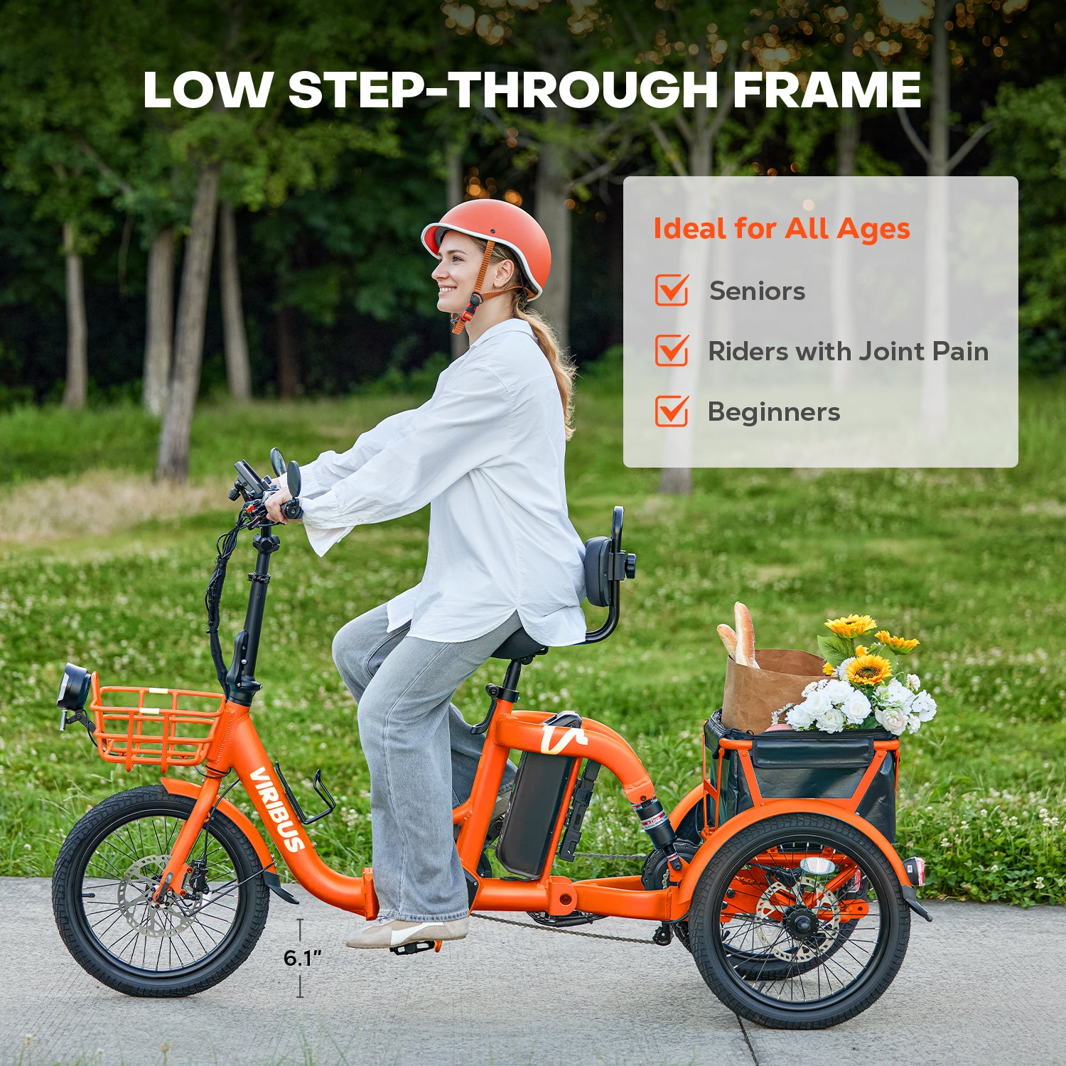 Viribus FC2 Folding Electric Tricycle