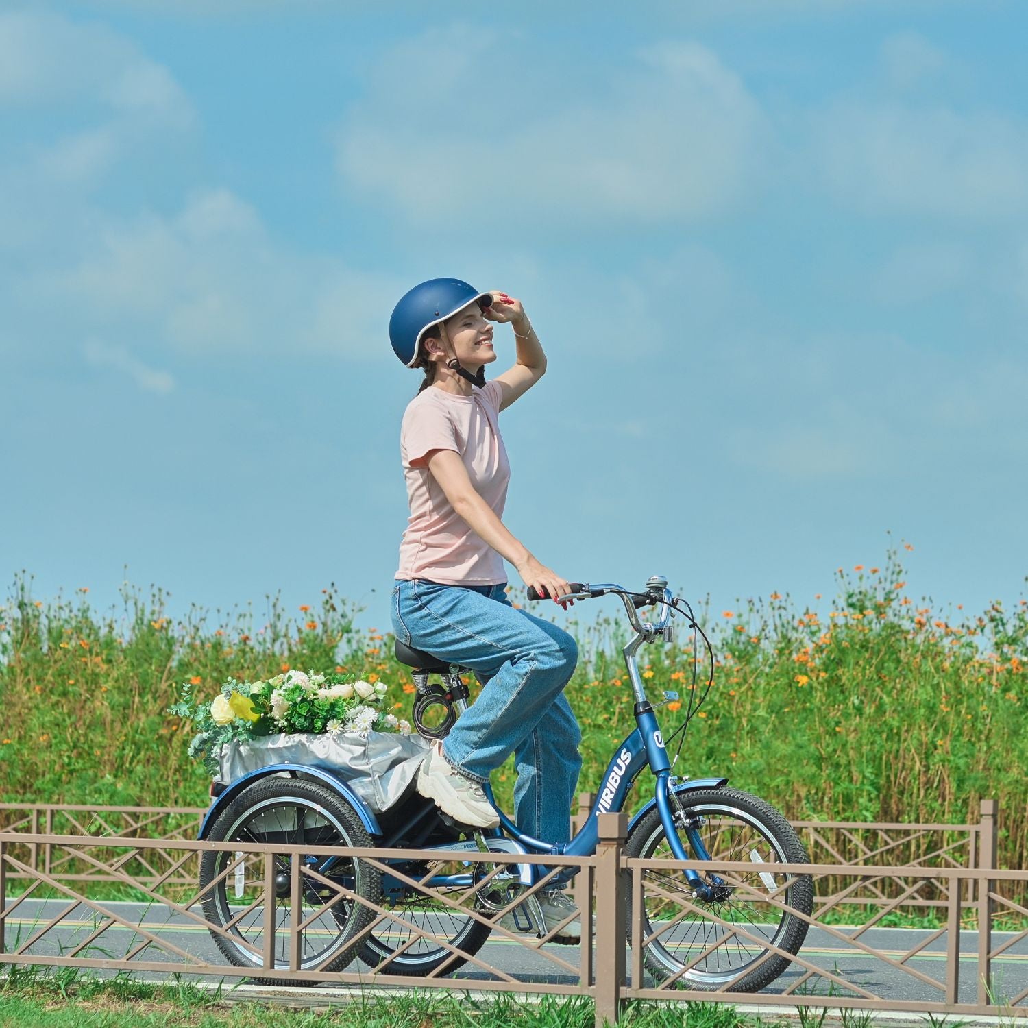 Viribus - 20 inch Folding Adult Tricycle