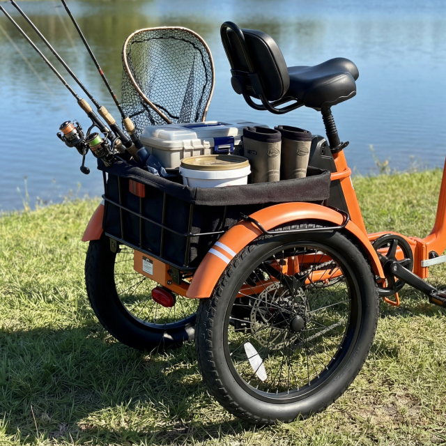 Viribus ST1 Folding Electric Tricycle