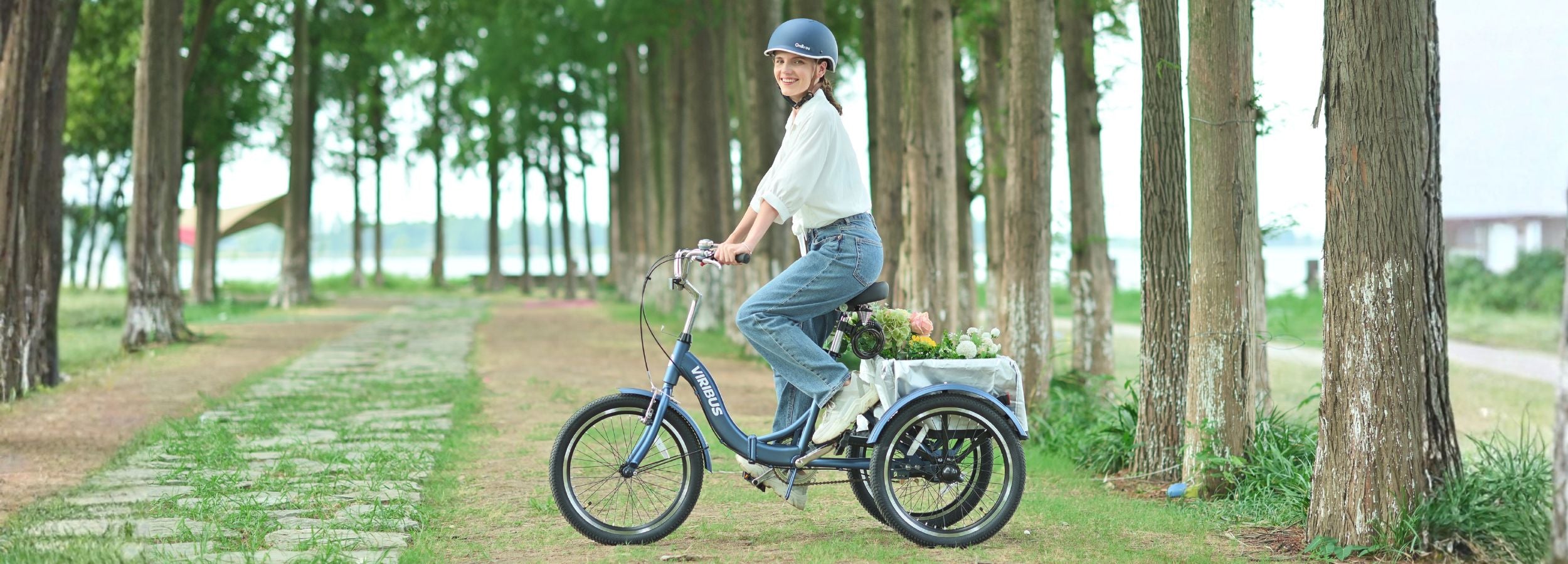 Viribus - 20 inch Folding Adult Tricycle