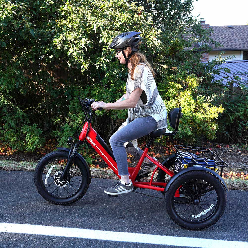 electric tricycle