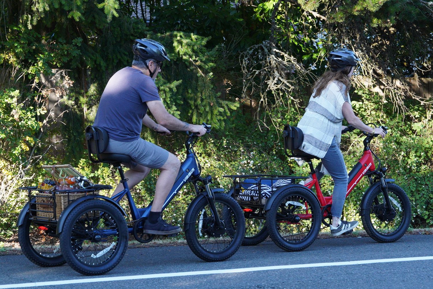 Viribus - SC5 Fat Tire Electric Tricycle