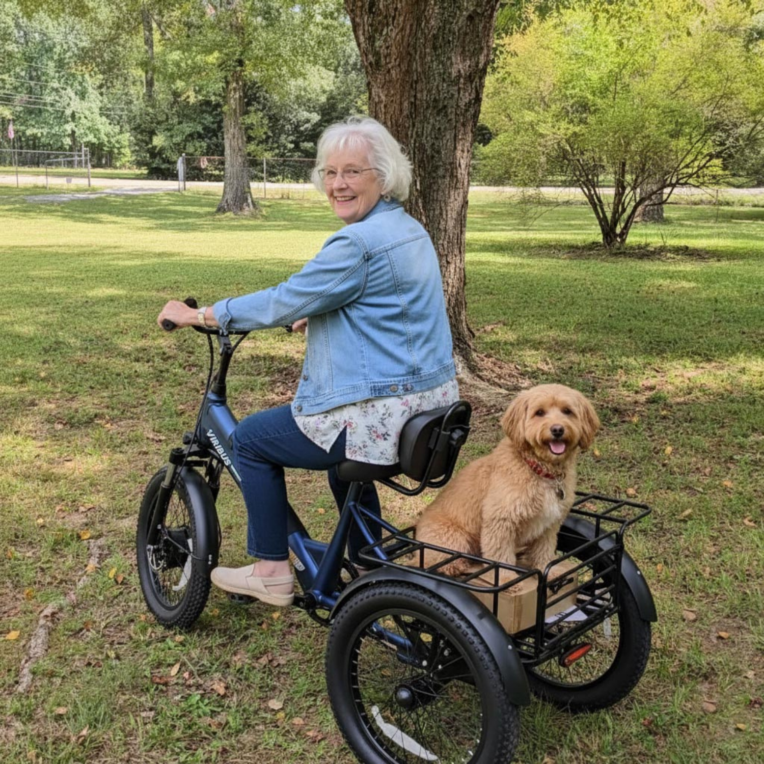 Viribus - SC5 Fat Tire Electric Tricycle