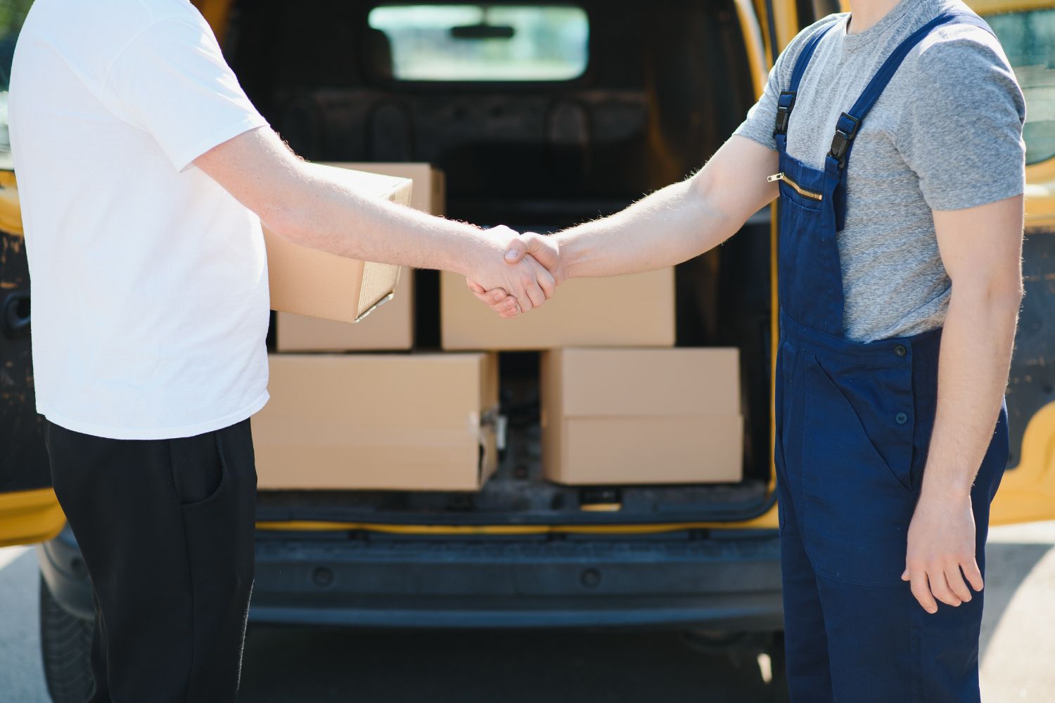 Viribus X Seel Worry-Free Delivery Insurance Covered