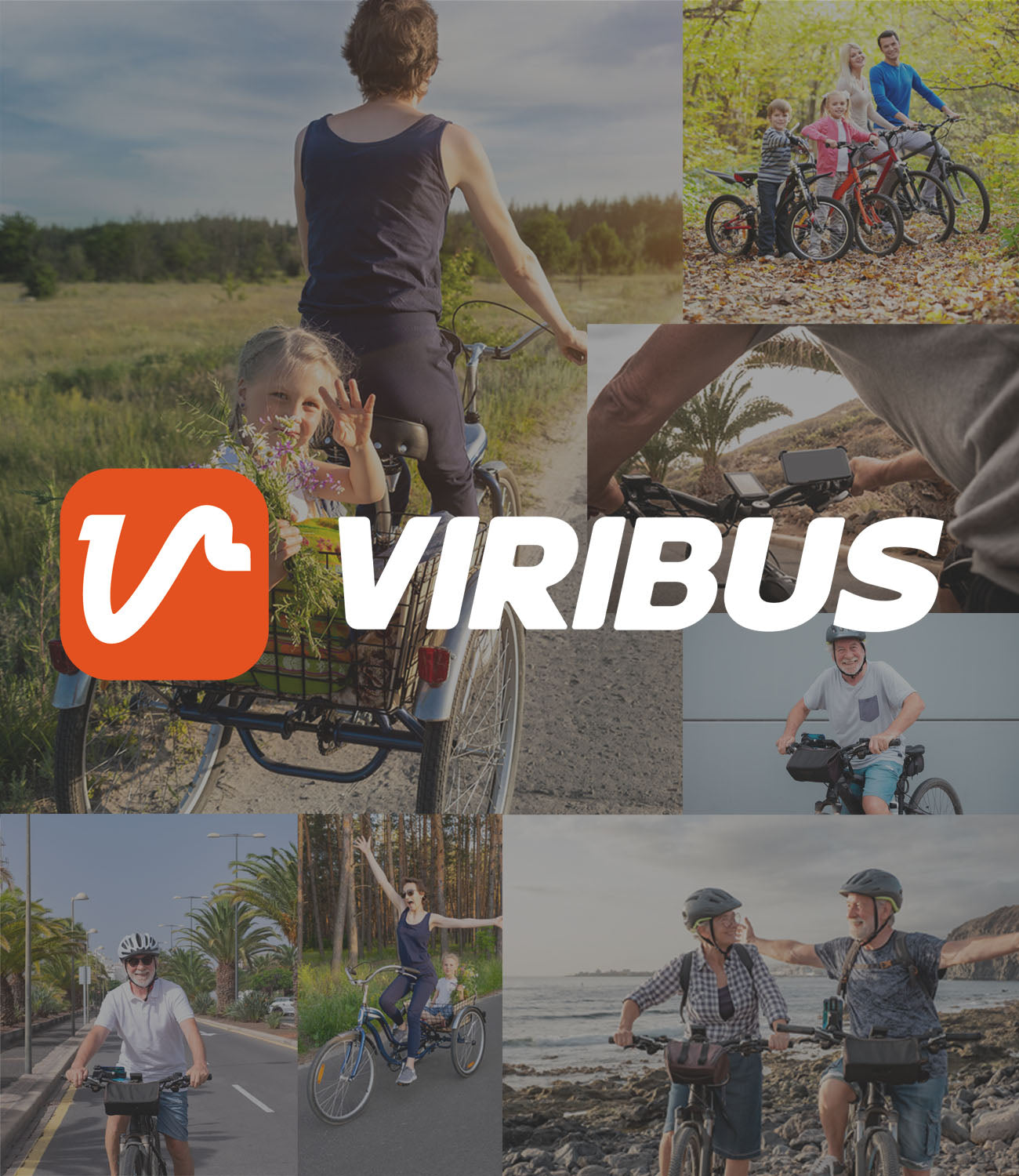 who is Viribus About us