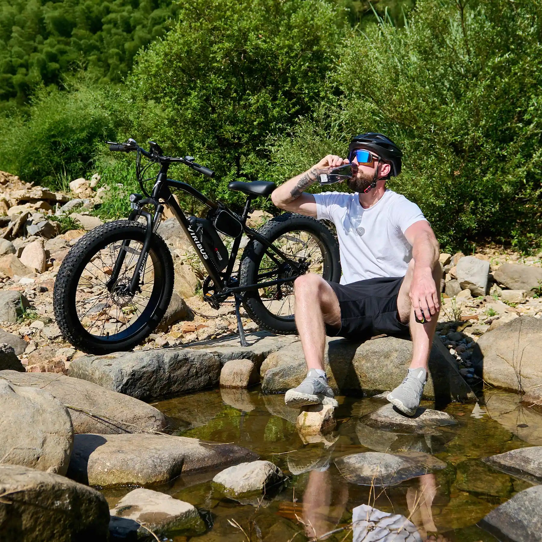 Fat Tire Ebike for Sale Cheap Electric Bike Mountain Bike Viribus® 
